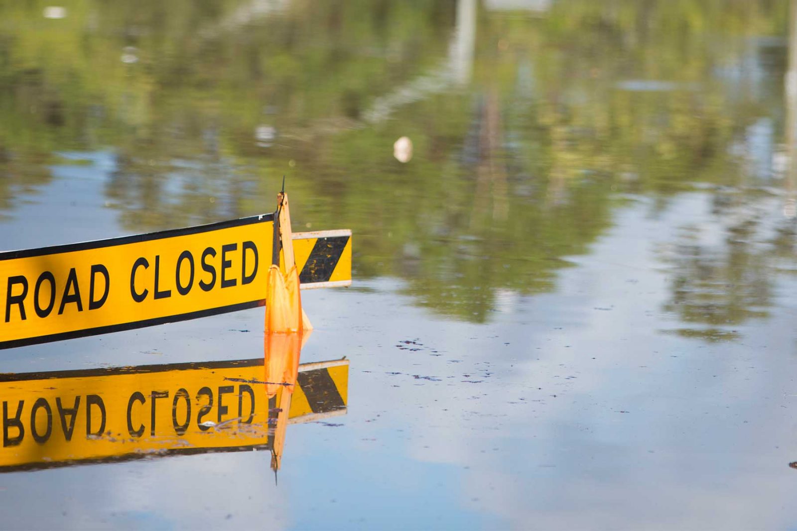Flooded area with road closed sign